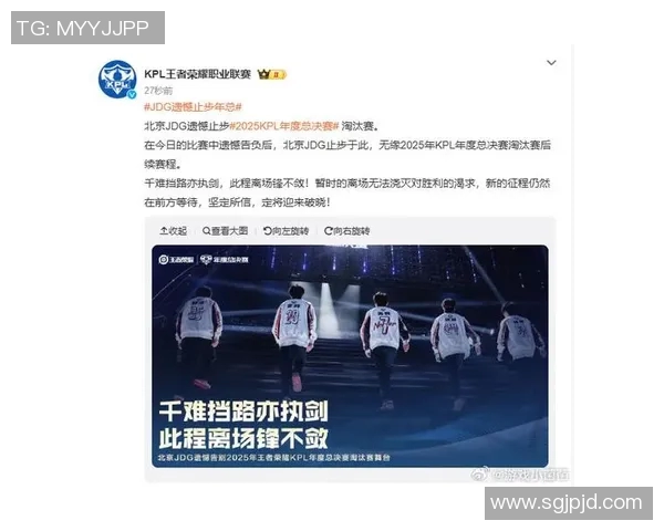 王者荣耀深度解析JDG战队的战术转型与成功之路