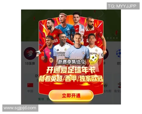 西甲联赛的媒体传播与观众影响